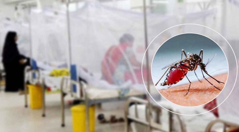 ডেঙ্গুতে মৃতের সংখ্যা আড়াই শ ছাড়াল