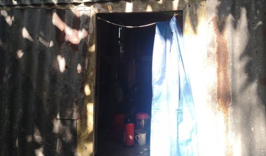 ওসমান হাদির গ্রামের বাড়িতে চুরির ঘটনা